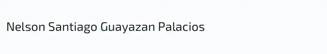 Nelson Santiago Guayazan Palacios